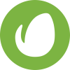 envato1